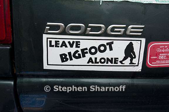 leave bigfoot alone bumpersticker